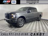 Used 2016 Ford F150 XLT w/ Equipment Group 302A Luxury image 1