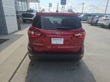 Used 2021 Ford EcoSport SE w/ Interior Protection Package image 6
