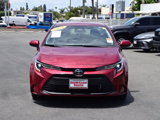 Certified 2024 Toyota Corolla LE image 3