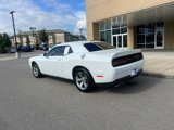 Used 2019 Dodge Challenger SXT image 2