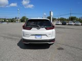 Used 2020 Honda CR-V EX-L image 4