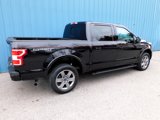 Used 2019 Ford F150 XLT w/ Equipment Group 302A Luxury image 5
