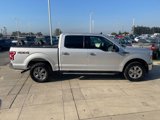 Used 2019 Ford F150 XLT w/ Equipment Group 302A Luxury image 5