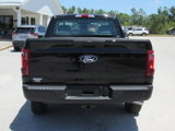 New 2025 Ford F150 XL image 4