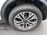 Used 2020 Ford Escape SEL image 4