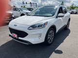 Used 2020 Ford Escape SEL image 6