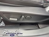 New 2025 Ford Escape ST-Line w/ Tech Pack #1 image 6
