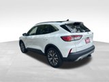 Used 2020 Ford Escape Titanium image 3