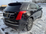 Used 2017 Cadillac XT5 Luxury w/ Driver Awareness Package image 3