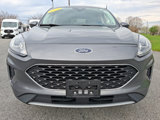 Used 2021 Ford Escape SE w/ Convenience Package image 2