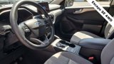 Used 2020 Ford Escape SE image 4