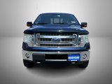 Used 2013 Ford F150 XLT w/ Luxury Equipment Group image 2
