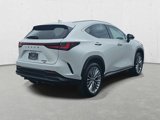New 2025 Lexus NX 350 AWD w/ Accessory Package (2T) image 5