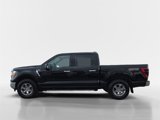 Used 2021 Ford F150 XLT image 6