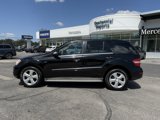 Used 2010 Mercedes-Benz ML 350 BlueTEC 4MATIC image 2