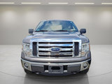 Used 2011 Ford F150 XLT image 2