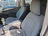 Used 2020 Ford Escape SE image 4