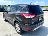 Used 2014 Ford Escape SE image 6