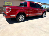 Used 2011 Ford F150 Platinum image 2