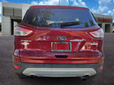 Used 2016 Ford Escape SE w/ SE Leather Comfort Package image 5