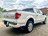 Used 2010 Ford F150 Platinum image 6