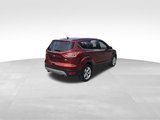 Used 2014 Ford Escape SE image 5