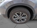 Certified 2021 Honda CR-V EX image 3