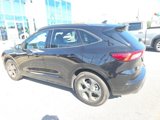 Used 2024 Ford Escape ST-Line w/ Tech Pack #1 image 4