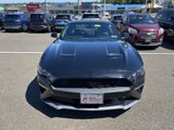 Certified 2019 Ford Mustang Coupe image 2