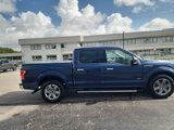 Used 2016 Ford F150 XLT w/ Equipment Group 302A Luxury image 6