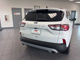 Used 2022 Ford Escape SE image 4