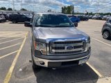 Used 2014 Ford F150 XLT w/ Equipment Group 302A Luxury image 3