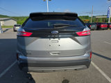 Used 2024 Ford Edge SEL image 4