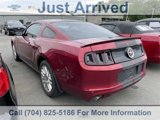 Used 2014 Ford Mustang Premium w/ Equipment Group 202A image 4