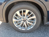 New 2025 INFINITI QX50 Luxe w/ Cargo Package image 5
