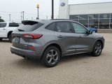 Used 2023 Ford Escape ST-Line image 3