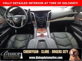 Used 2016 Cadillac Escalade Luxury image 4