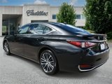 Used 2022 Lexus ES 250 w/ Premium Package image 5