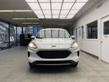 Used 2020 Ford Escape SE image 2