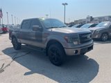 Used 2013 Ford F150 FX4 w/ Luxury Equipment Group image 2