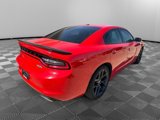 Used 2021 Dodge Charger SXT w/ Blacktop Package image 4