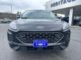 Used 2022 Ford Escape SE w/ SE Sport Appearance Package image 2