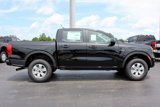 New 2024 Ford Ranger XL w/ Trailer Tow Package image 5