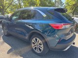 Used 2020 Ford Escape SEL image 4