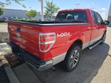 Used 2011 Ford F150 XLT image 5