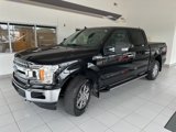 Used 2019 Ford F150 XLT w/ Equipment Group 302A Luxury image 3