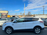 Used 2013 Ford Escape SE image 3