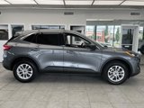 Used 2022 Ford Escape SE w/ Cold Weather Package image 4