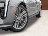 New 2025 Cadillac CT4 Premium Luxury image 2
