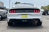 Used 2019 Ford Mustang Premium w/ Equipment Group 201A image 5